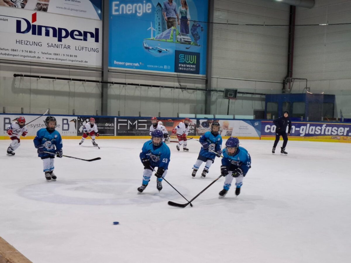 Young Blue Devils: Tolle Erfolge der Junioren und Jugend