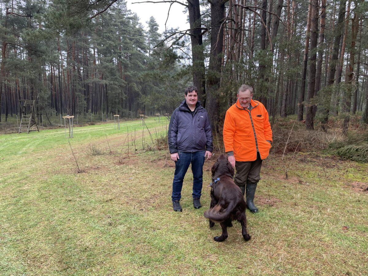 Obstbäume und Hecken fördern Artenvielfalt - Positives Beispiel in Steiningloh