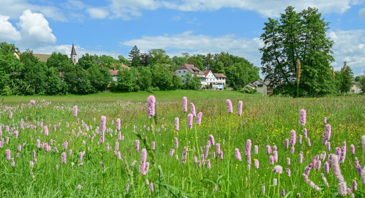 Das mehrfach ausgezeichnete Friedenfels: Wenn ein Ort gemeinsam anpackt