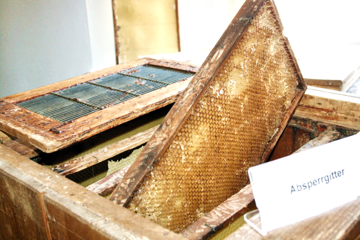 Imkerei: Tradition trifft Moderne in Erbendorf