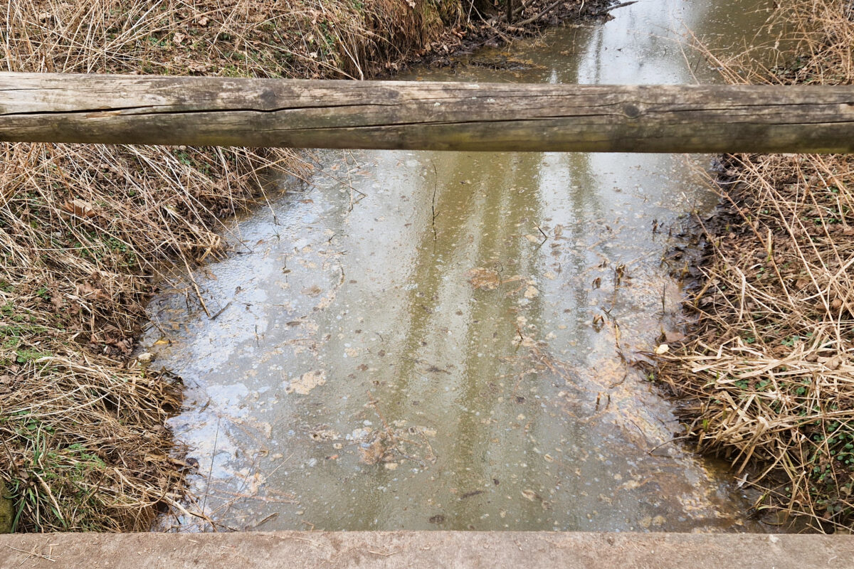 Entwarnung: Kein Öl, sondern harmlose Kahmhaut in Amberg