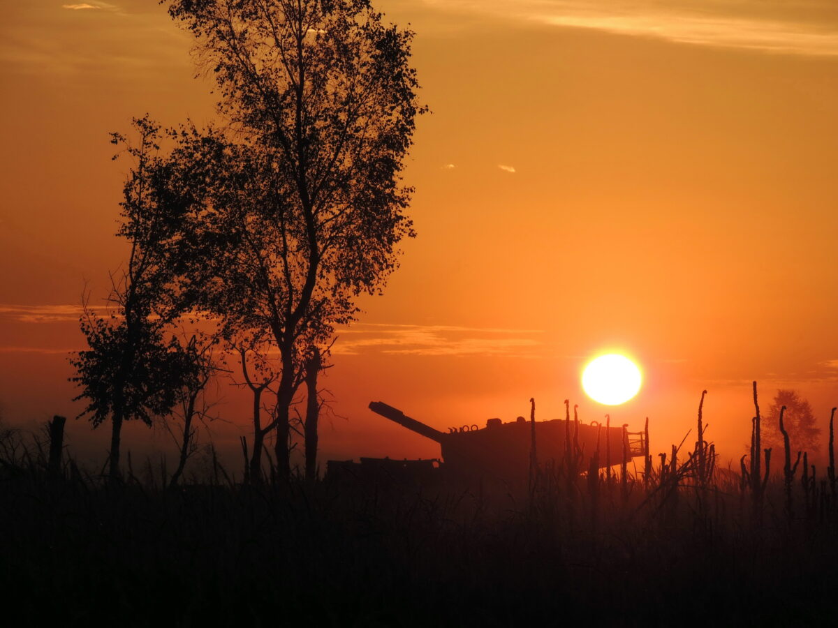 Bilder aus dem Übungsplatz und aller Welt