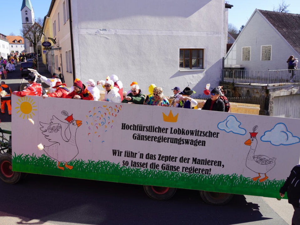 Gänse laden ein und flattern durch Waldthurn
