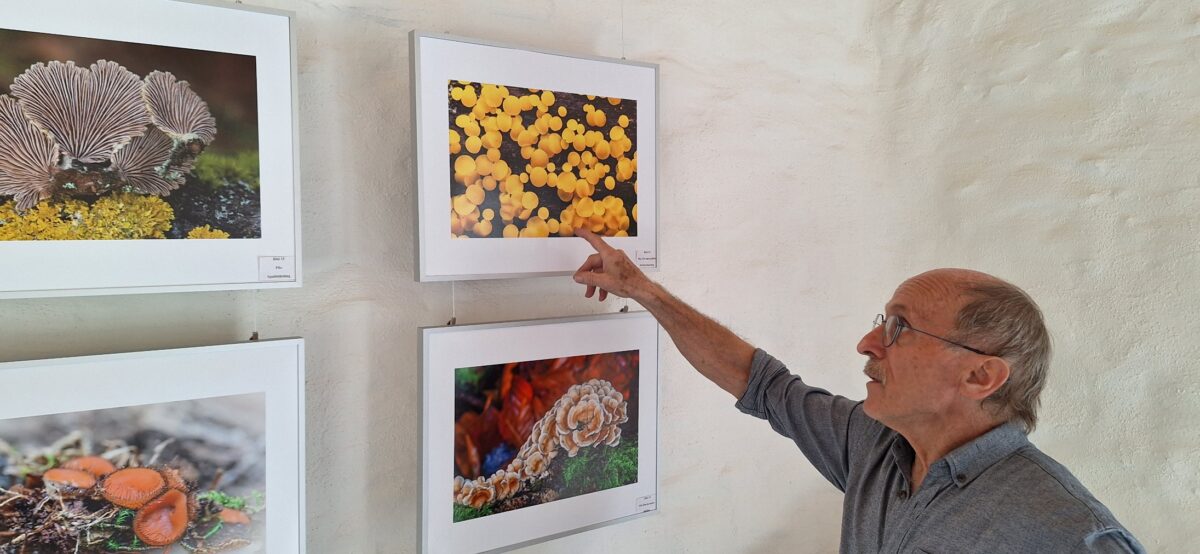 Erfolgreiche Ausstellung "Fotowelten" in Erbendorf lockte zahlreiche Kunstinteressierte