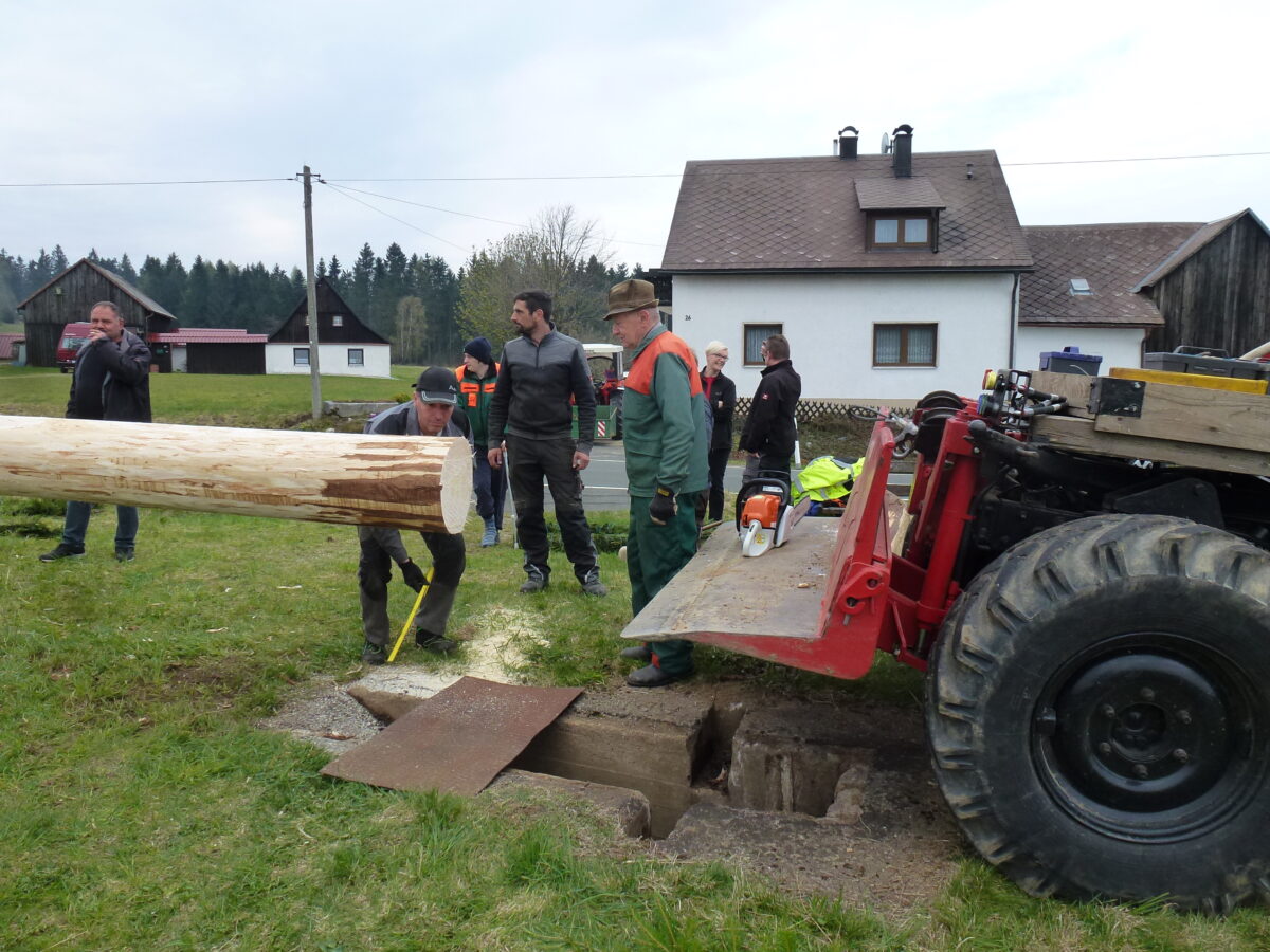 Auch in diesem Jahr wieder ein Maibaum