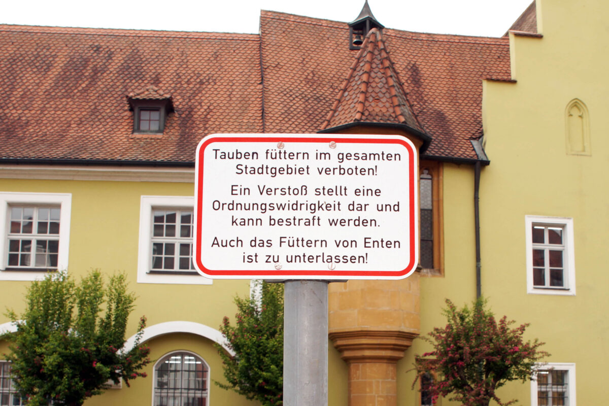 Taubenfütterungsverbot. Copyright Stadt Amberg.jpg