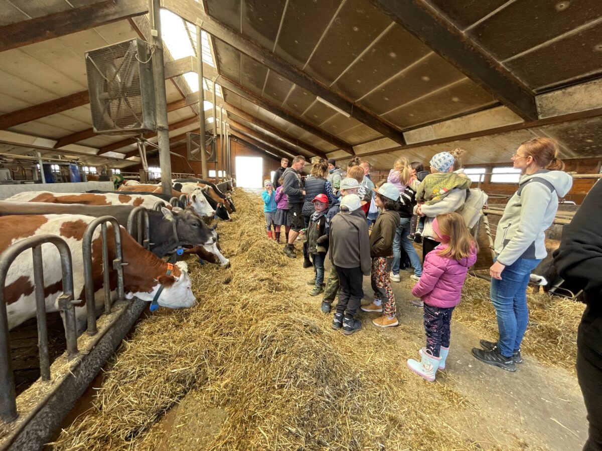 Butter selbst gemacht: Familientag auf dem Biobauernhof