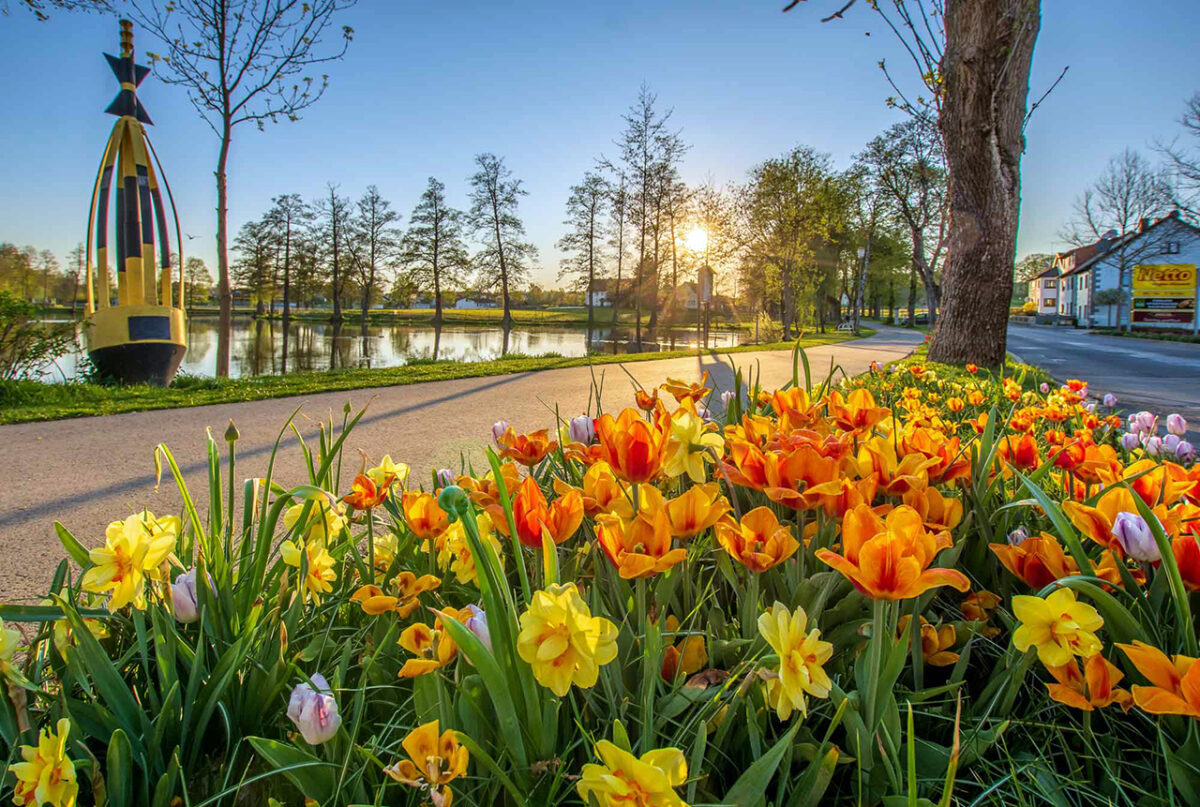 Gewerbeschau: Grammer Solar lädt zum Auerbacher Frühlingserwachen