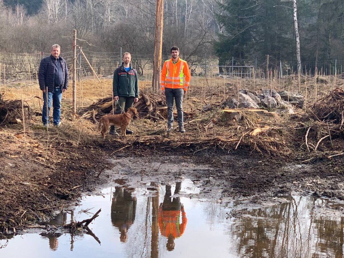 Schönsee wandelt Wald zu Ökoparadies um