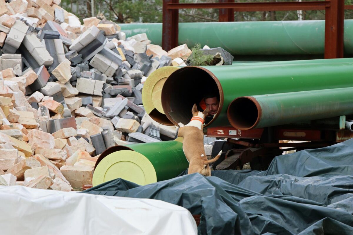 Tierische Übung für den Ernstfall