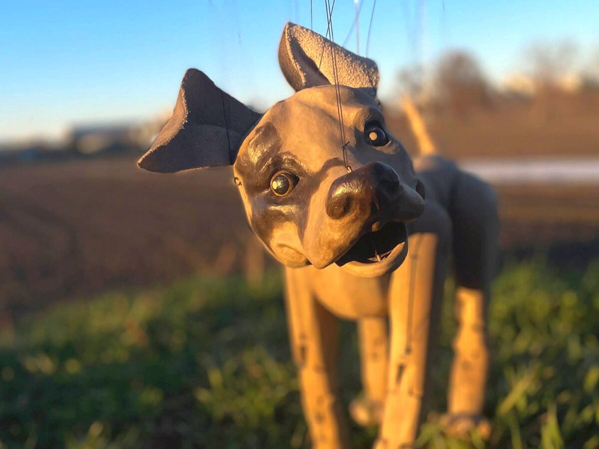 Premiere beim Oberpfalztag 2025: Der „Oberpfalz Underdog“ ist auf Spurensuche