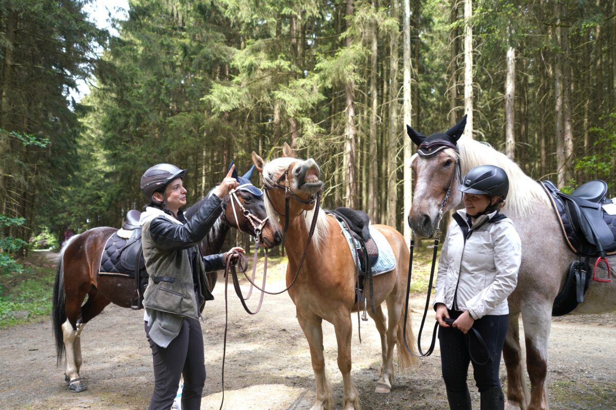 Western-Feeling in Woppenrieth: Trailturnier und Countryfest