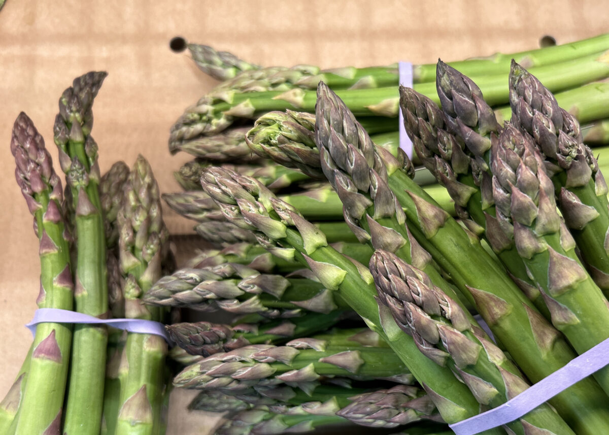 Was ist im Monat Juni wichtig? OberpfalzECHO gibt einen unterhaltsamen Überblick