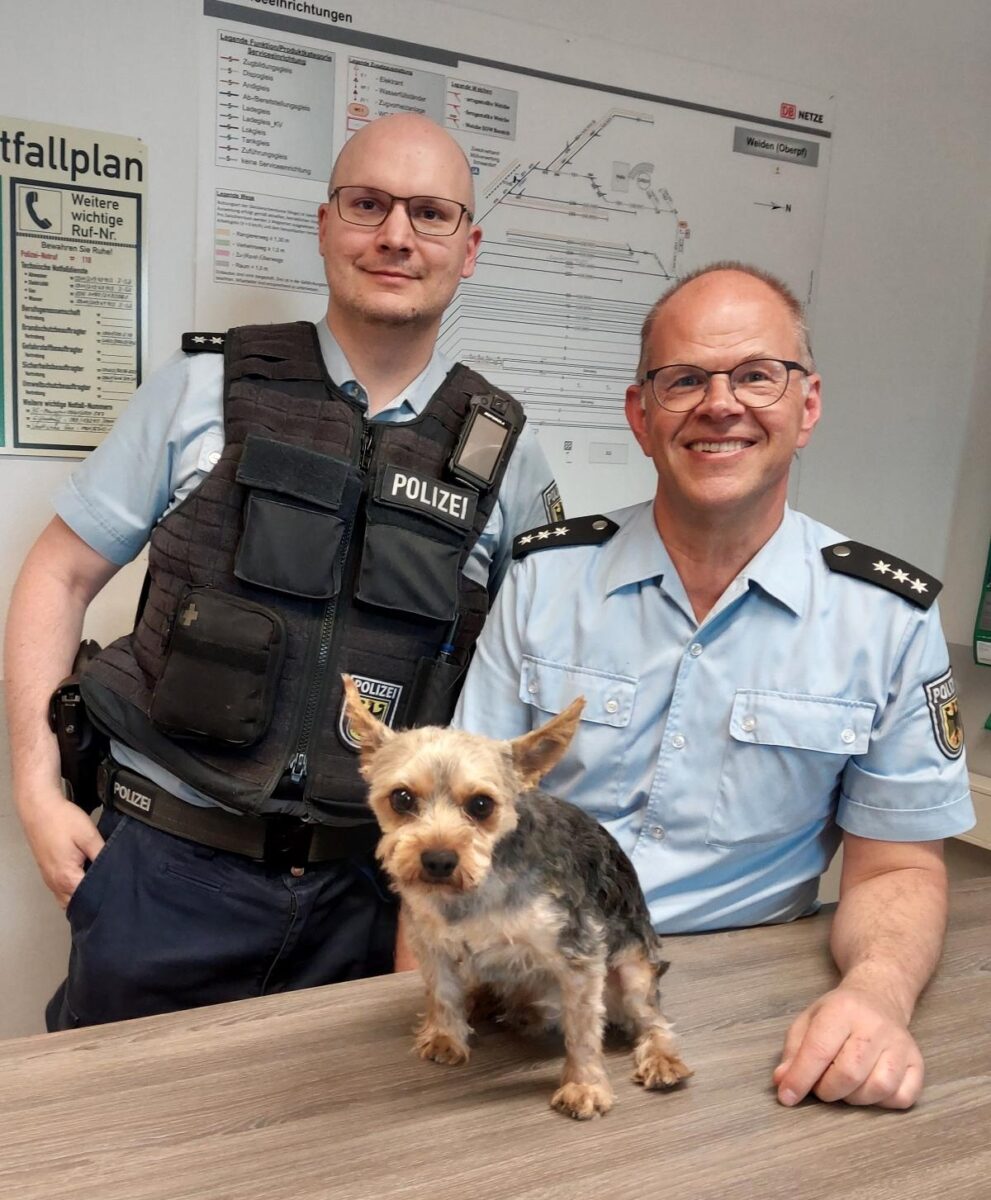 Fundhund Rocky am Weidener Bahnhof im April 2025