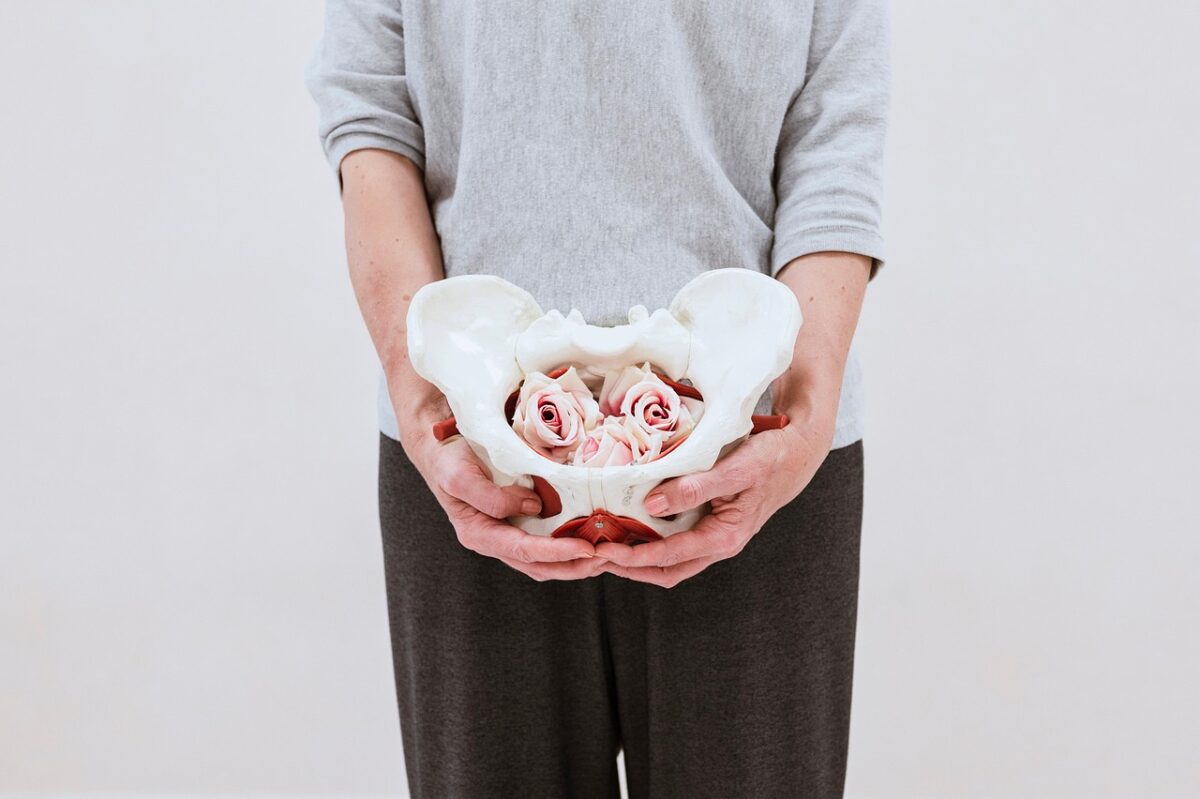 Kostenloser Workshop zur Beckenbodenstärkung in Schwandorf