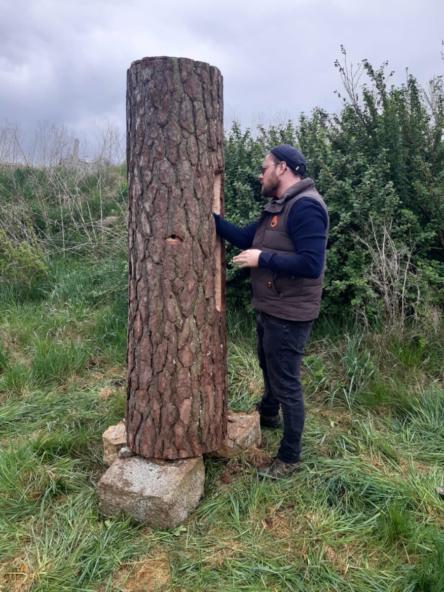 Historisches Imkerhandwerk: Bienen ziehen in den Geschichtspark Bärnau-Tachov ein
