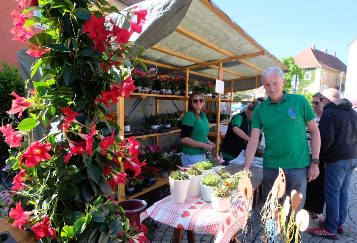 Blumentombola zum Muttertag lockt in Floß