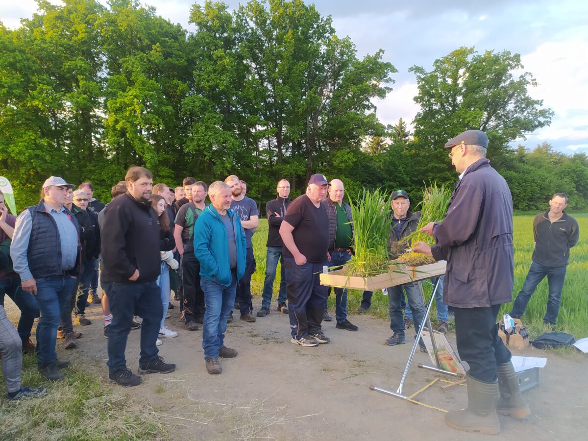 Direktsaat: Zukunft der Landwirtschaft in Harlesberg