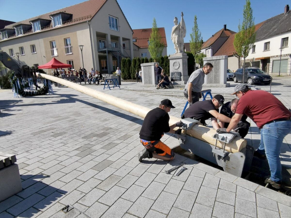 opf-echo-maibaum (0).jpg