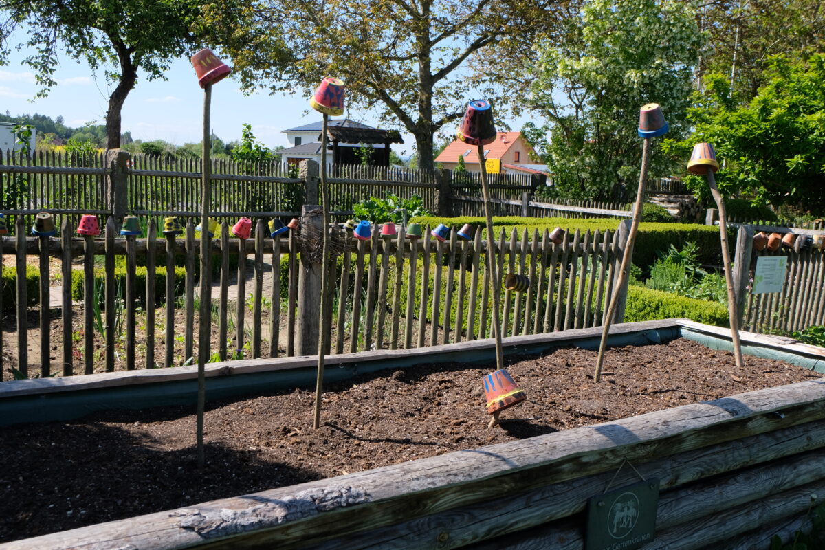 Flosser Gartenkrähen bepflanzen Hochbeet