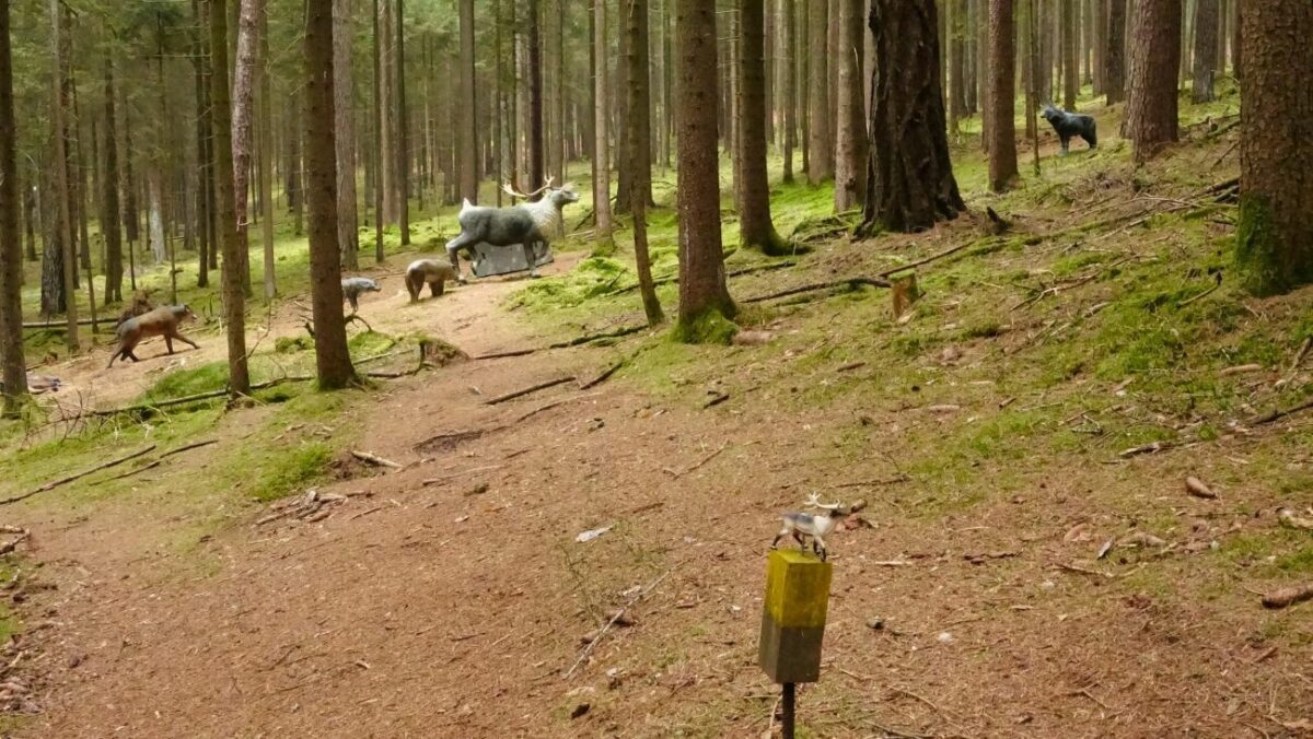 Neue Wanderwege und Bogenpark für Neustadt geplant