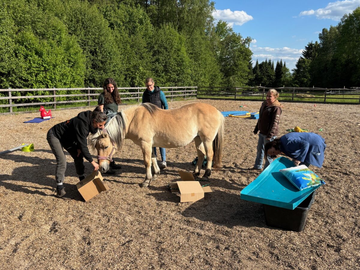 Innovative Nasenarbeit mit Pferden in Waidhaus vorgestellt