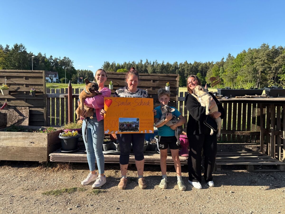 Kindergarten unterstützt Tierschutz mit Spende