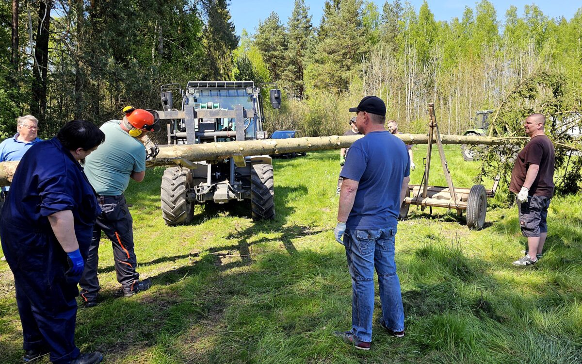 Schnupferclub packt an: Maibaumfest in Latsch vereint Dorfgemeinschaft