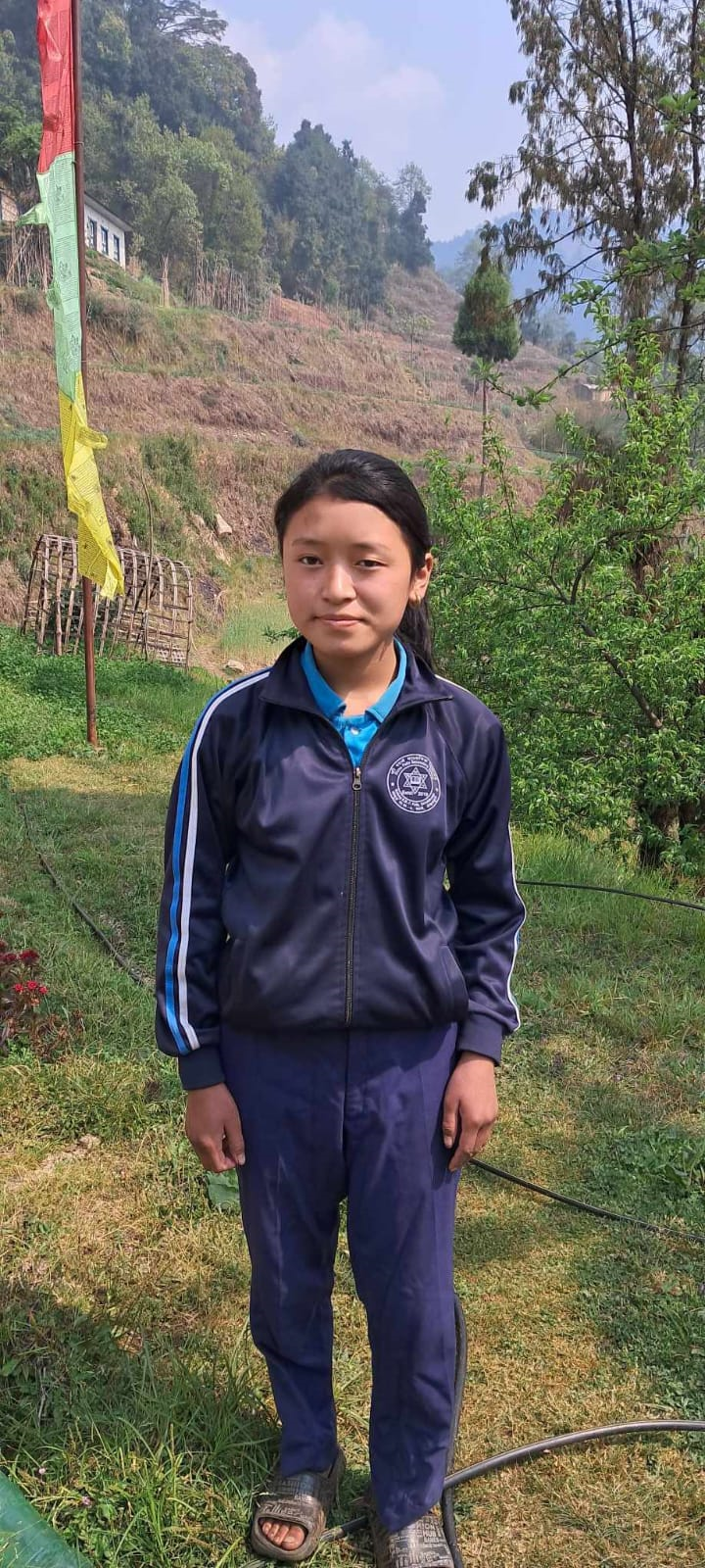 Neu in Auerbach: Unicef-Grußkarten im Weltladen