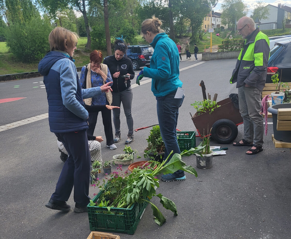 Pflanzen tauschen mit den Pechbrunner Grünen