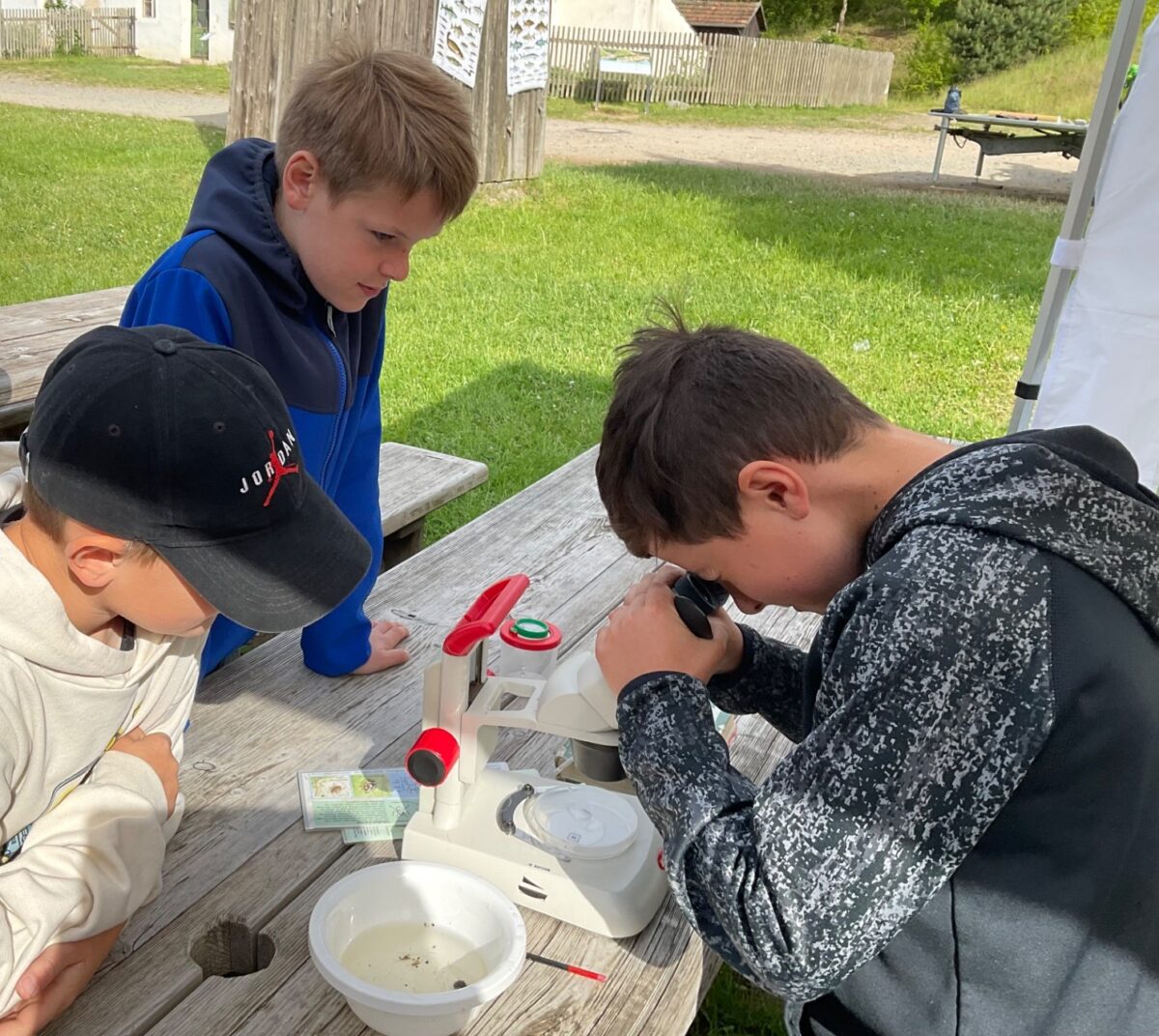 Pressather Schüler entdecken Wasserwelten im Freilandmuseum