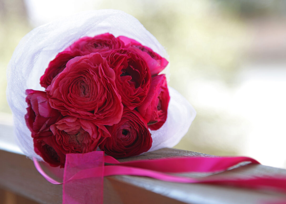 Spontan Ja sagen: "Einfach heiraten"-Aktion in der Michaelskirche Weiden von 10 bis 17 Uhr