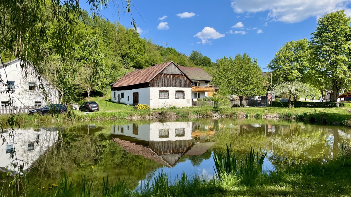 So schön ist unsere Heimat – Oberpfälzer Seenland sucht die besten Fotomomente