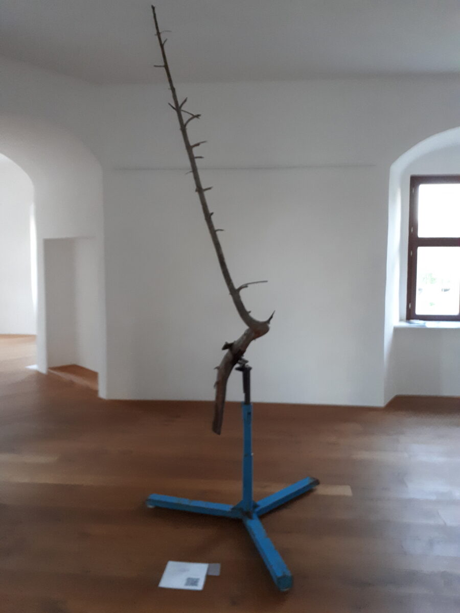 Vernissage, Dialog und Brunch: Solarpunk am Wochenende