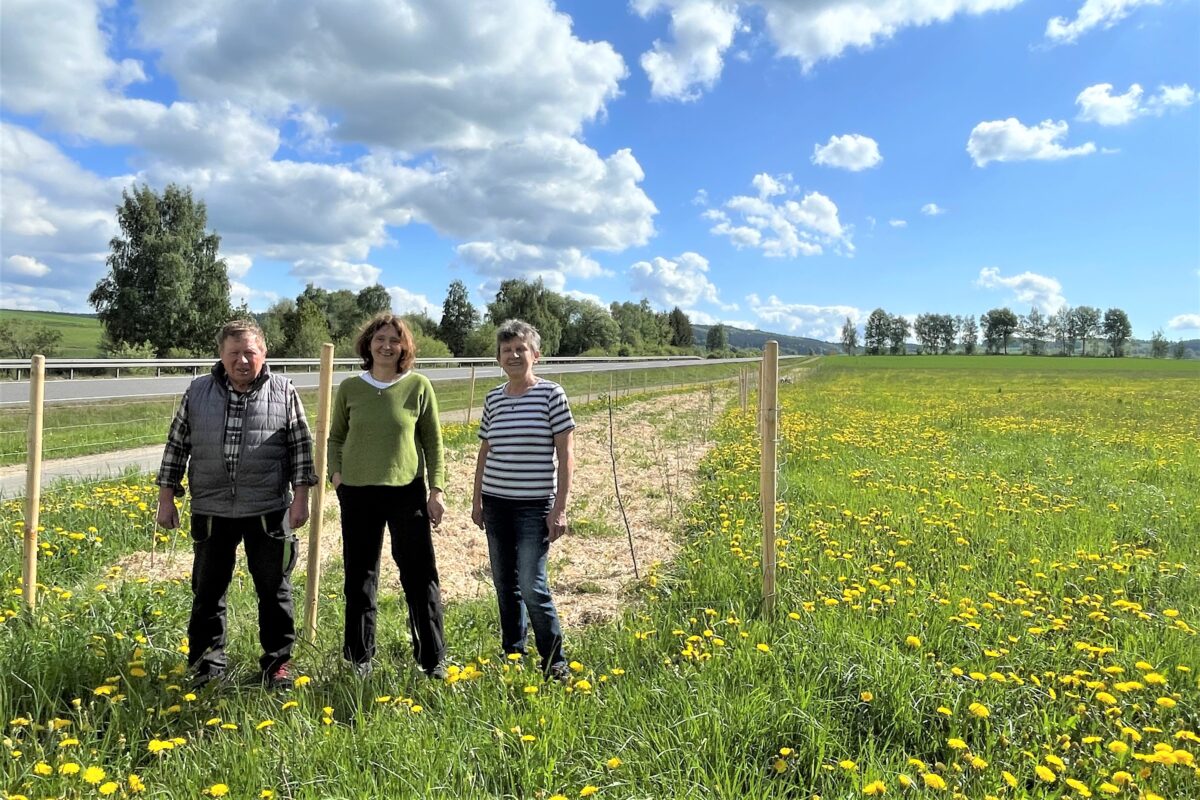 Bärnaus Weg zu mehr Artenvielfalt durch Hecken und Steinhügel