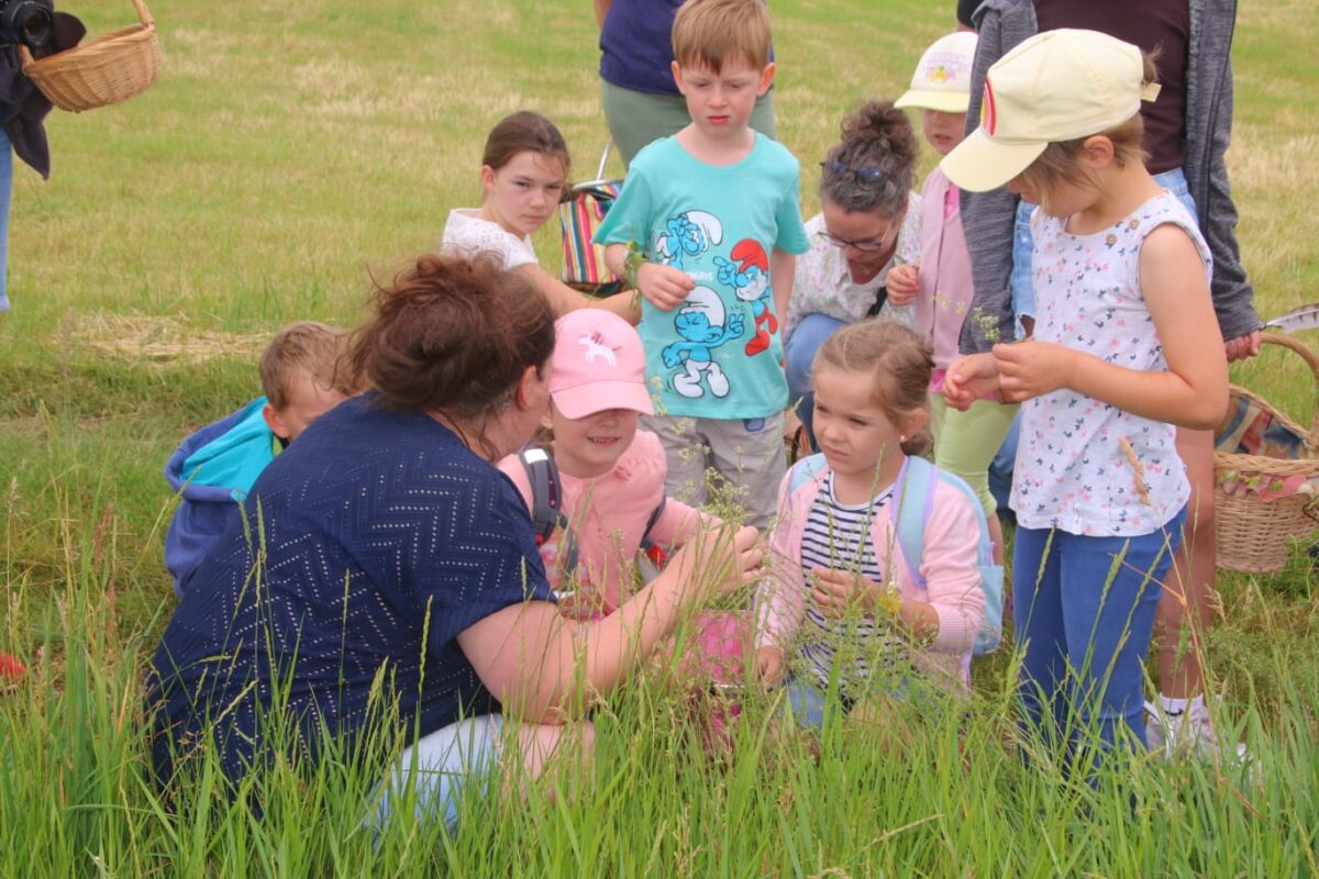 Interessante Kräuterwanderung des Jungen Landvolks Waldthurn bei Lennesrieth
