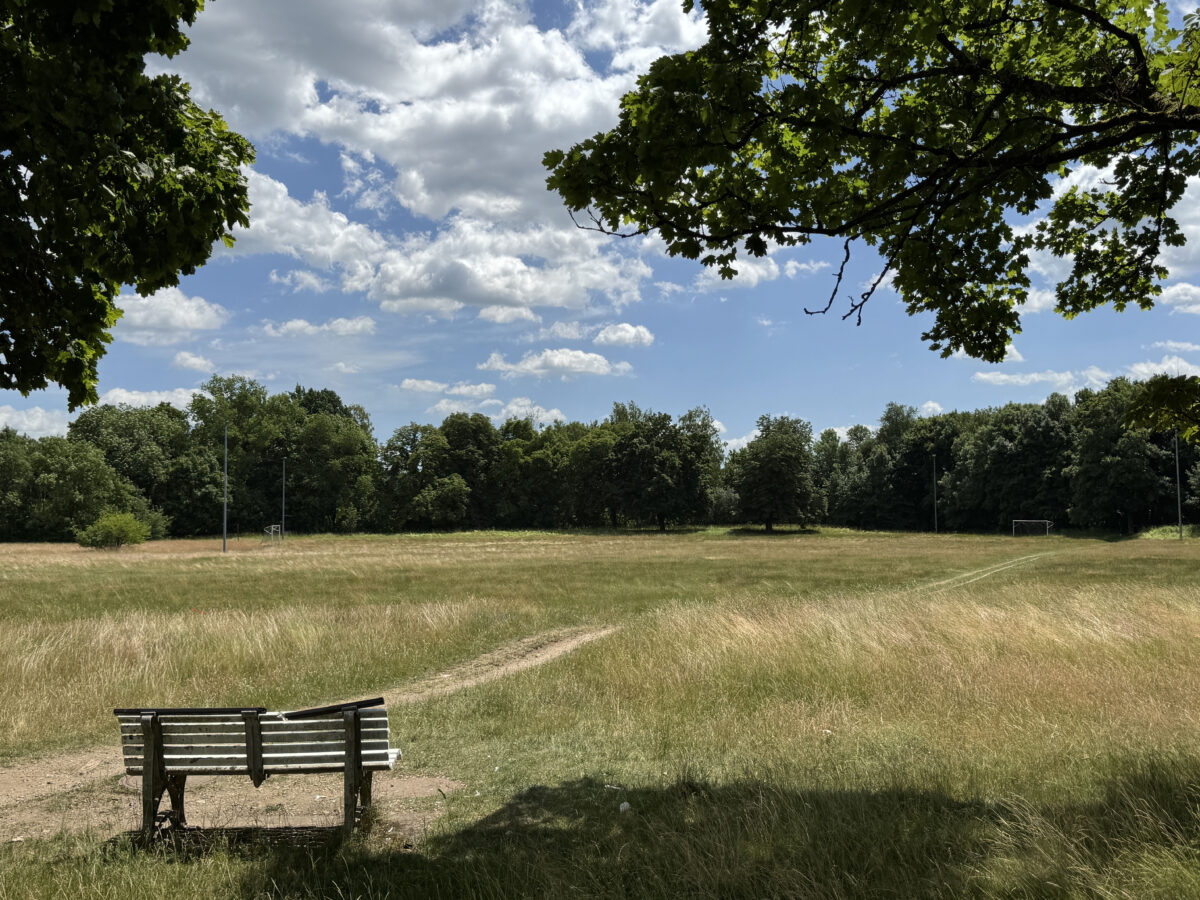 Schon 2027 könnte auf der Prärie des ehemaligen Turnerbund-Geländes ein attraktives Wohnungsgebiet entstehen