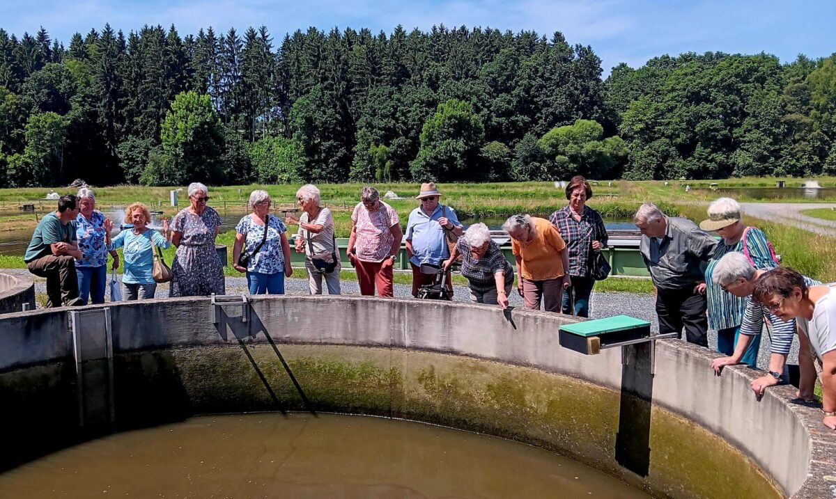 AWO Störnstein erkundet Fischzucht Wöllershof