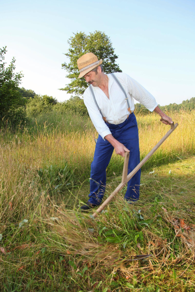 Mit der Sense durchs Gras - Lehrgang in Senkendorf