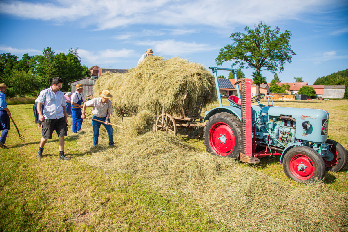Heuernte wie anno dazumal – Senkendorf und Löschwitz bereitet sich auf historischen Erntedankzug vor