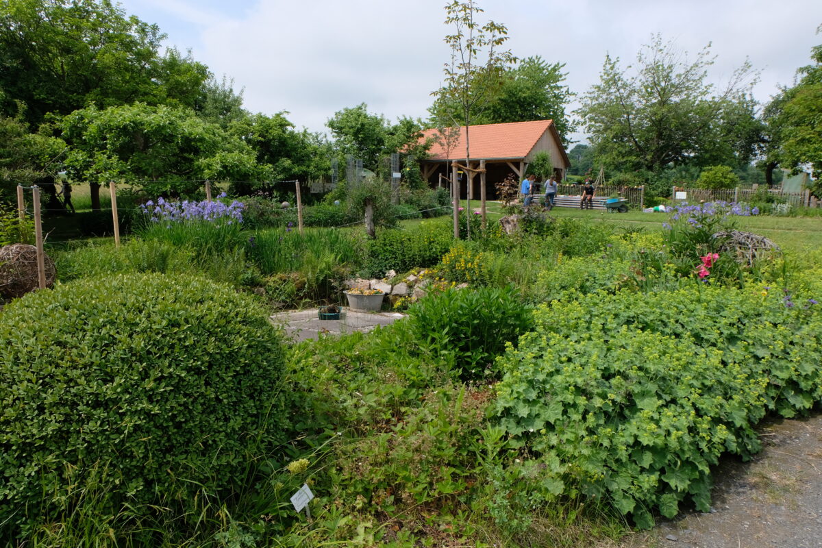 Obst- und Gartenbauverein Floß: Festabend und Puppenspiel abgesagt