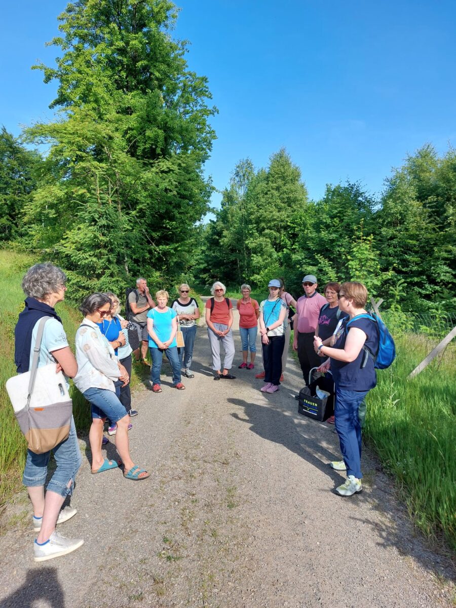 Kräuterwanderung am Panoramaweg entdeckt Heilpflanzen neu