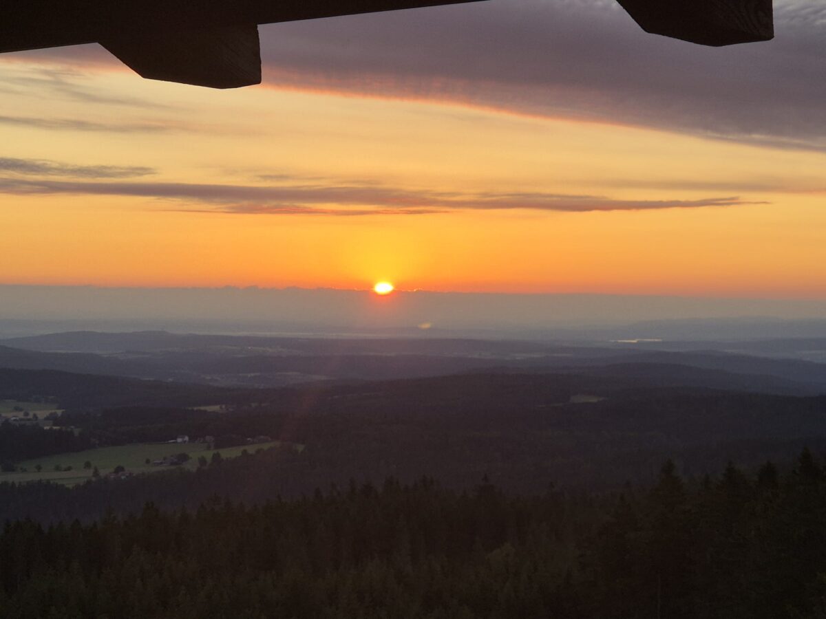 EarlyBirdFototour_Bild Michael Schneider.jpg