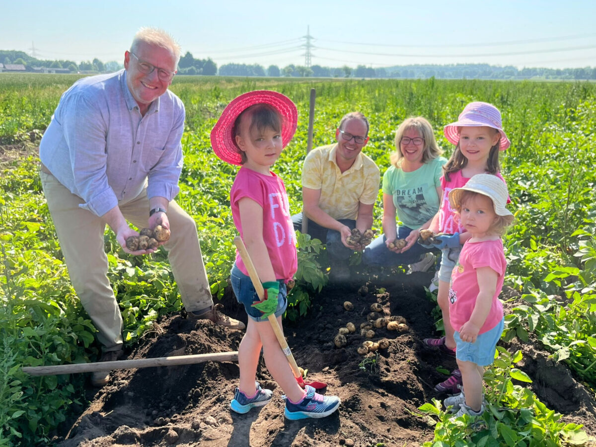 Frühkartoffelernte auf dem Hof der Familie Kiener in Richt - Oberbürgermeister packt mit an