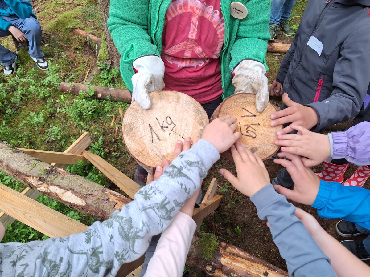 Waldjugendspiele begeistern Schüler in Irchenrieth