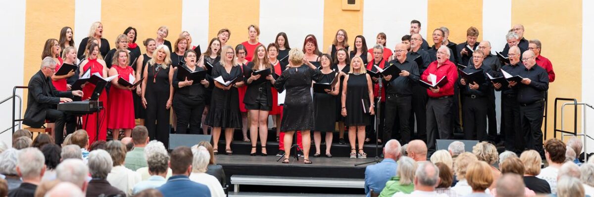 SingingWitt Konzert in Neustadt für den guten Zweck