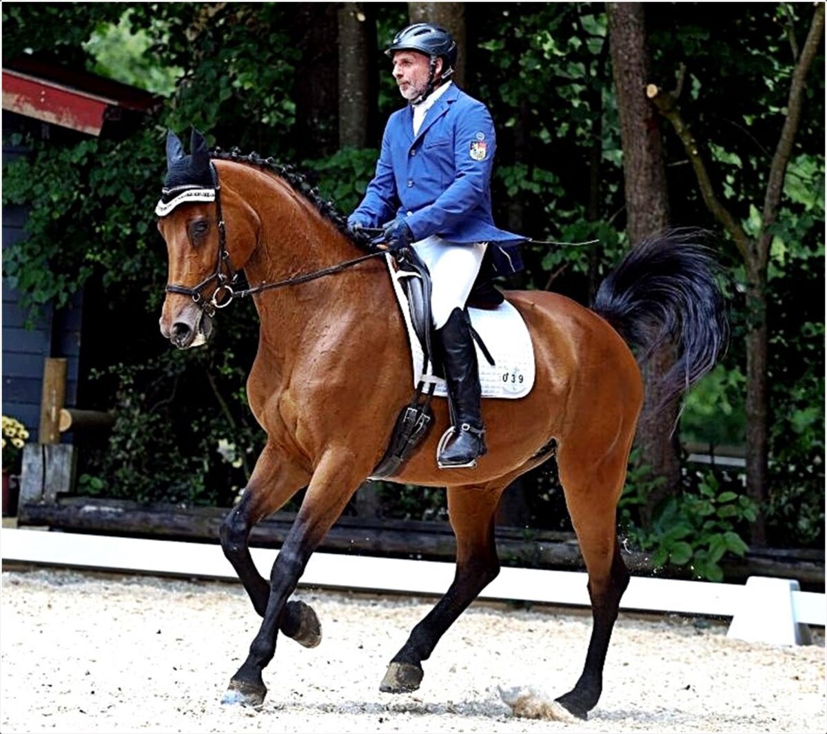 Weidener Sommerturnier: Pferdesport und Familienspaß