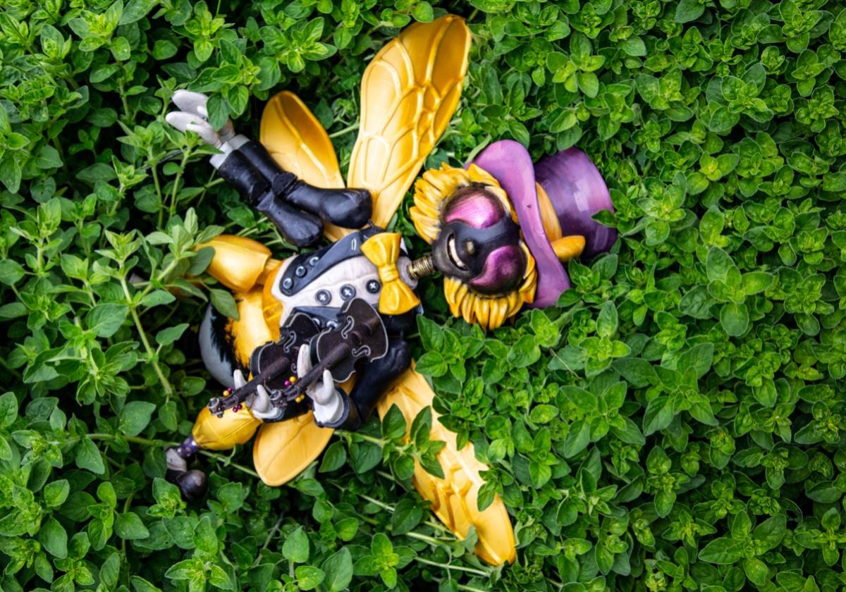 Wiesenträume in Schwandorf: Ein musikalisches Abenteuer