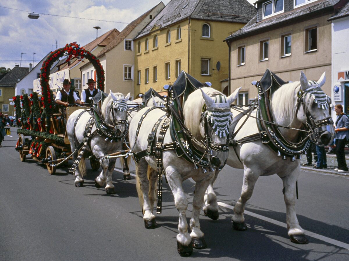 Heimatfest Waldershof: Nach einem Vierteljahrhundert wird wieder groß gefeiert!