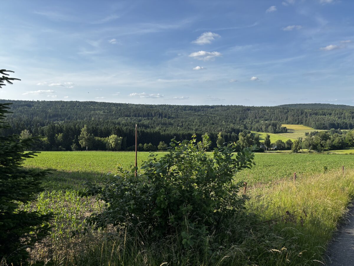 Windpark bei Fuchsmühl: RWE schließt elf Vorverträge, BI wehrt sich weiter